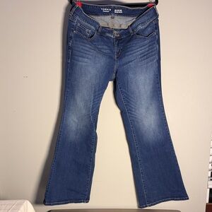 Torrid Denim Wide Leg Jeans